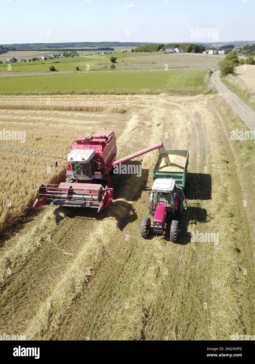 Landwirtschaft | Landwirtschaft 06/08/2016 Stockfoto