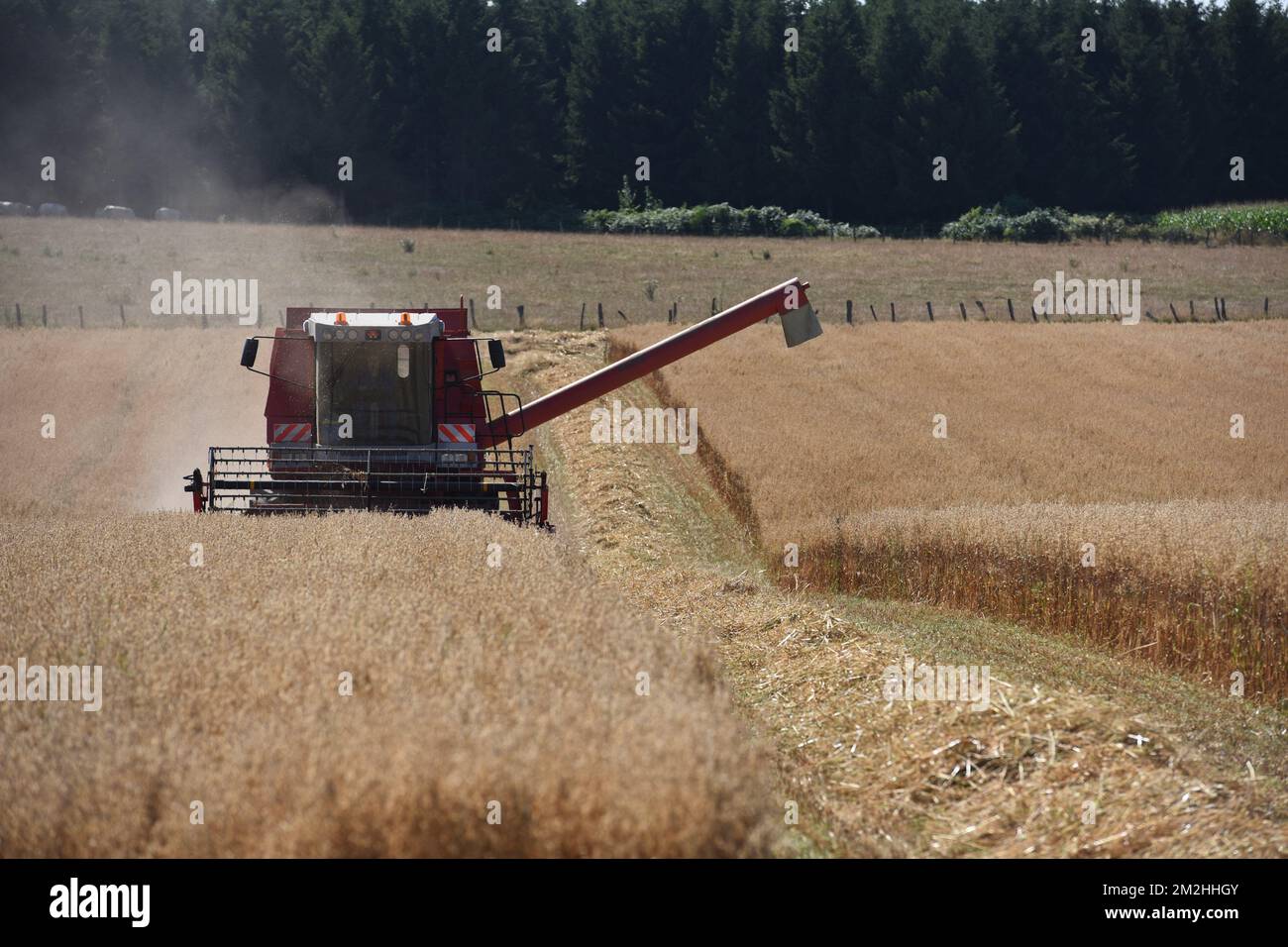 Landwirtschaft | Landwirtschaft 06/08/2016 Stockfoto