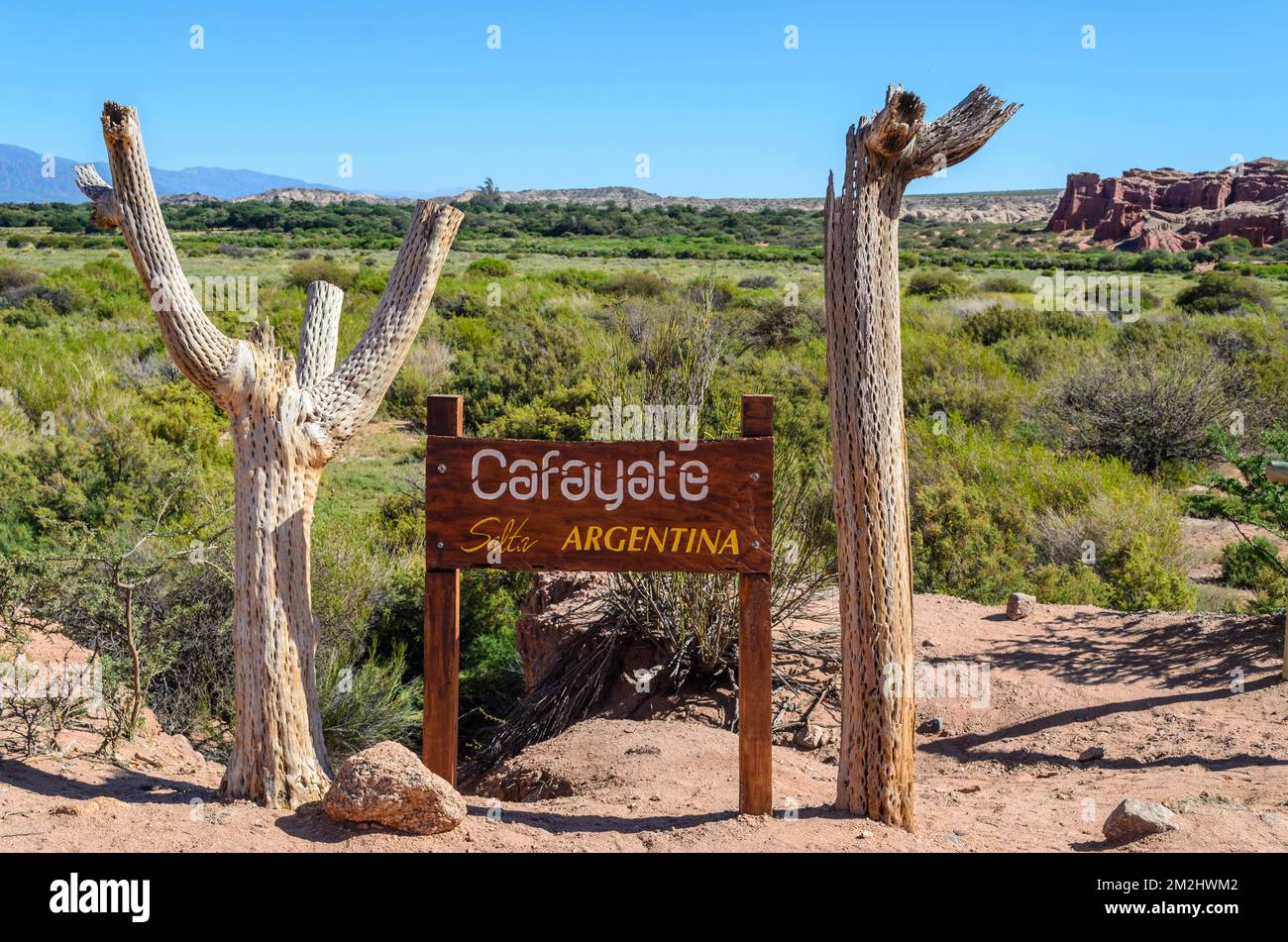 Schild für Cafayate umgeben von toten, getrockneten Kakteen nahe Cafayate, Salta, Argentinien. Stockfoto