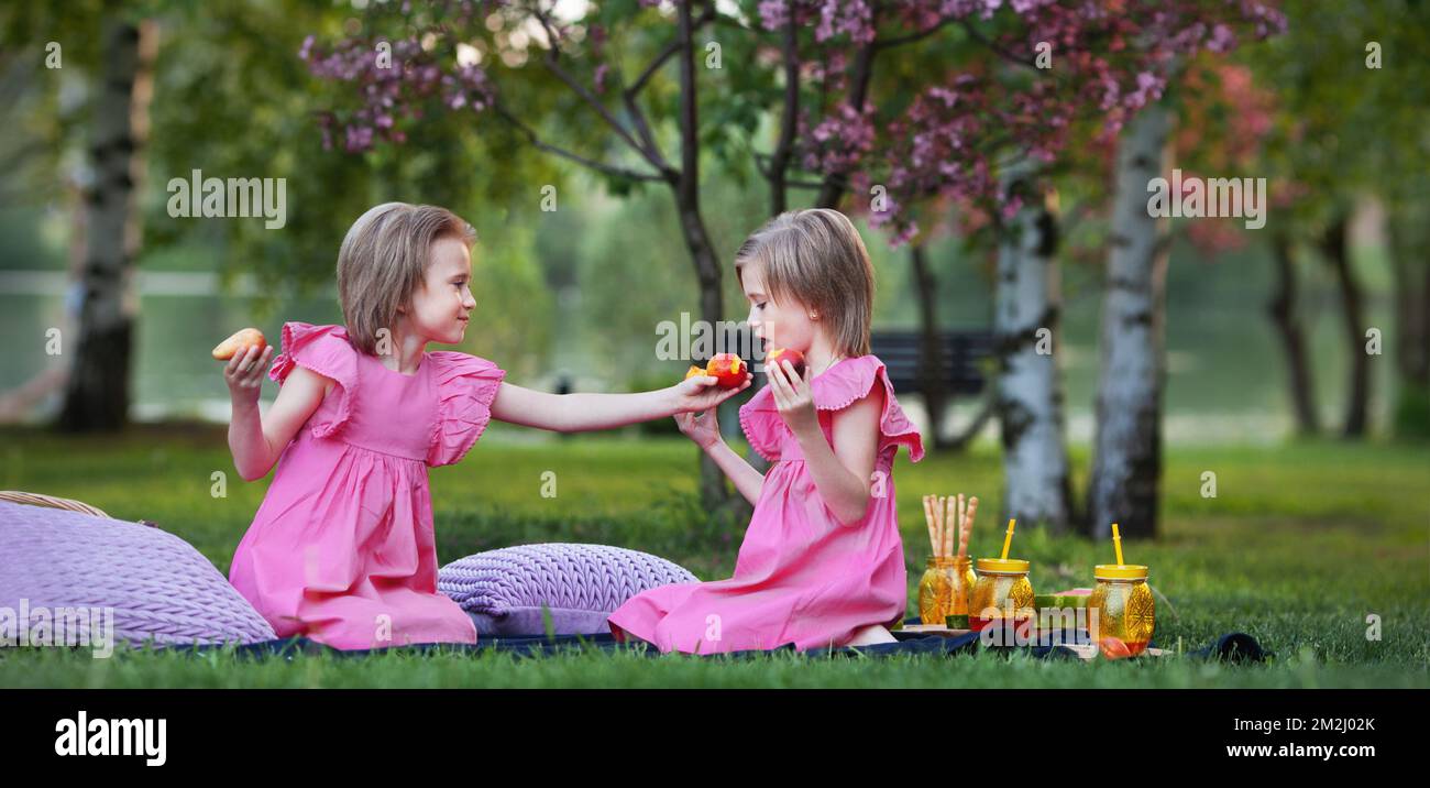 Das kleine Mädchen kümmert sich um ihre Zwillingsschwester, während sie im Naturpark auf dem Picknick sitzt. Kinder tragen pinkfarbene Kleider und haben einen kurzen Haarschnitt Stockfoto
