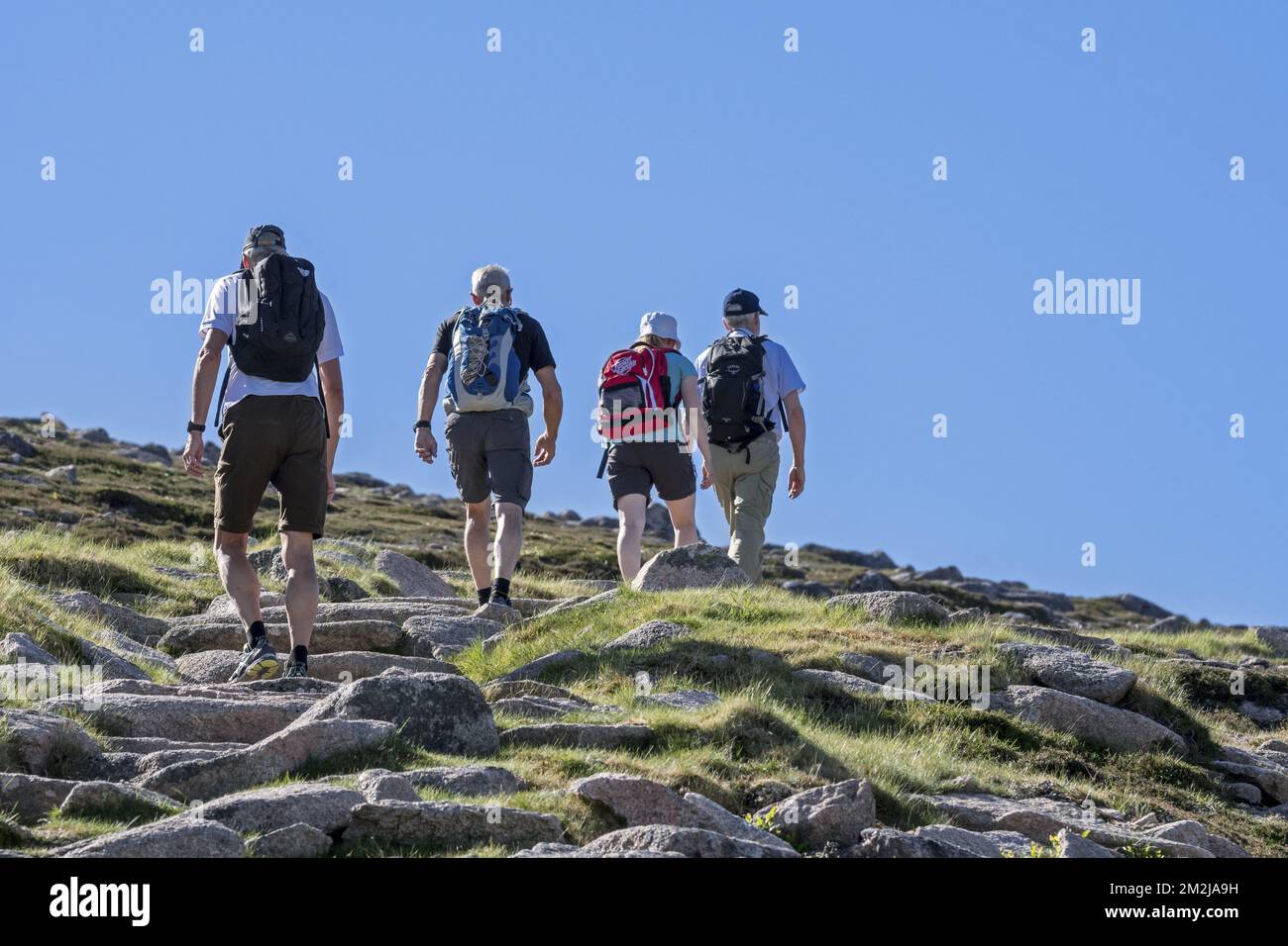 Vier Touristen mit Rucksäcken, die im Frühjahr/Sommer auf Bergwegen im Cairngorms National Park, Highland, Schottland, Großbritannien | Promeneurs dans le Parc National de Cairngorms, Ecosse, Royaume-Uni 30/08/2018 Stockfoto