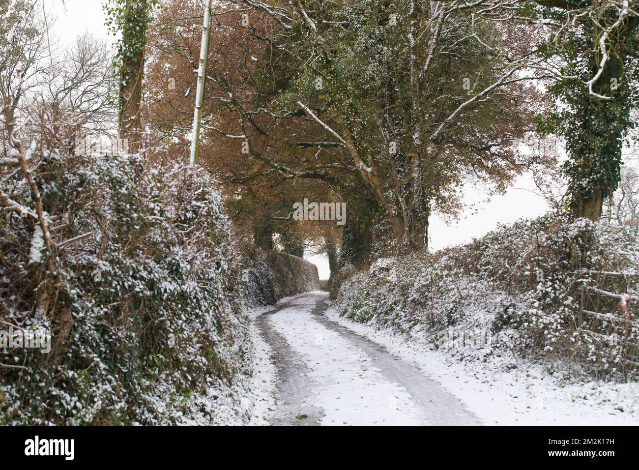 Bickington, Vereinigtes Königreich, 14. Dezember 2022. Schnee und Eis rund um Farlacombe Farm, Bickington, Devon. Kredit: Will Tudor/Alamy Live News Stockfoto