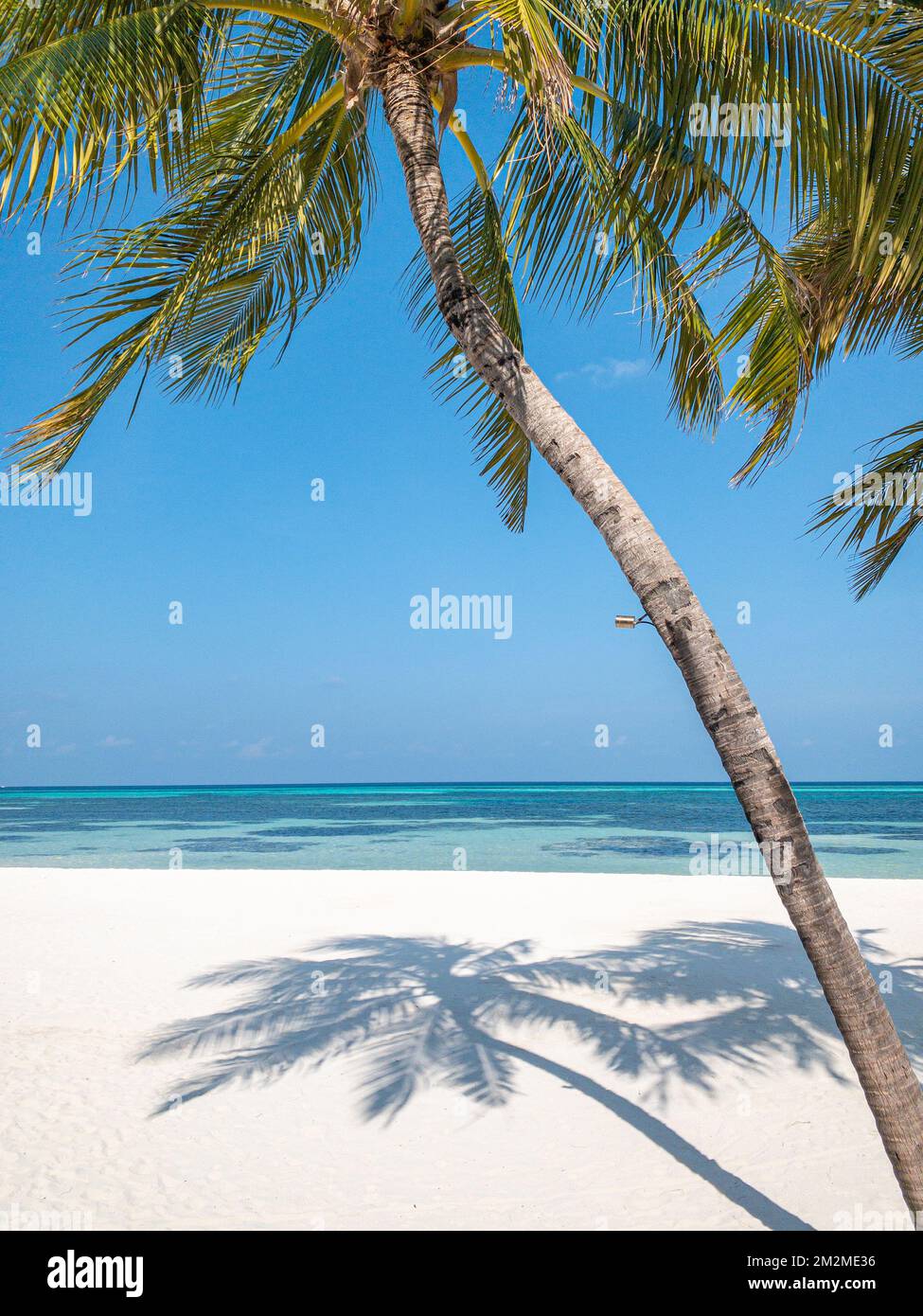 Sommerstrandlandschaft. Tropische Inselküste, Küste mit Palmenblättern. Herrlicher blauer Horizont, heller Himmel und weißer Sand als entspannender Urlaub Stockfoto