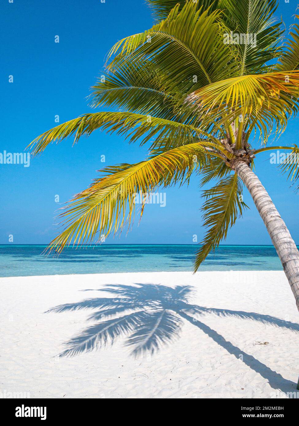 Sommerstrandlandschaft. Tropische Inselküste, Küste mit Palmenblättern. Herrlicher blauer Horizont, heller Himmel und weißer Sand als entspannender Urlaub Stockfoto