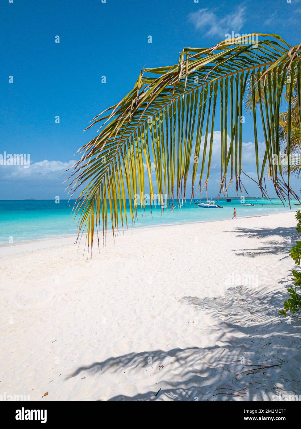 Sommerstrandlandschaft. Tropische Inselküste, Küste mit Palmenblättern. Herrlicher blauer Horizont, heller Himmel und weißer Sand als entspannender Urlaub Stockfoto