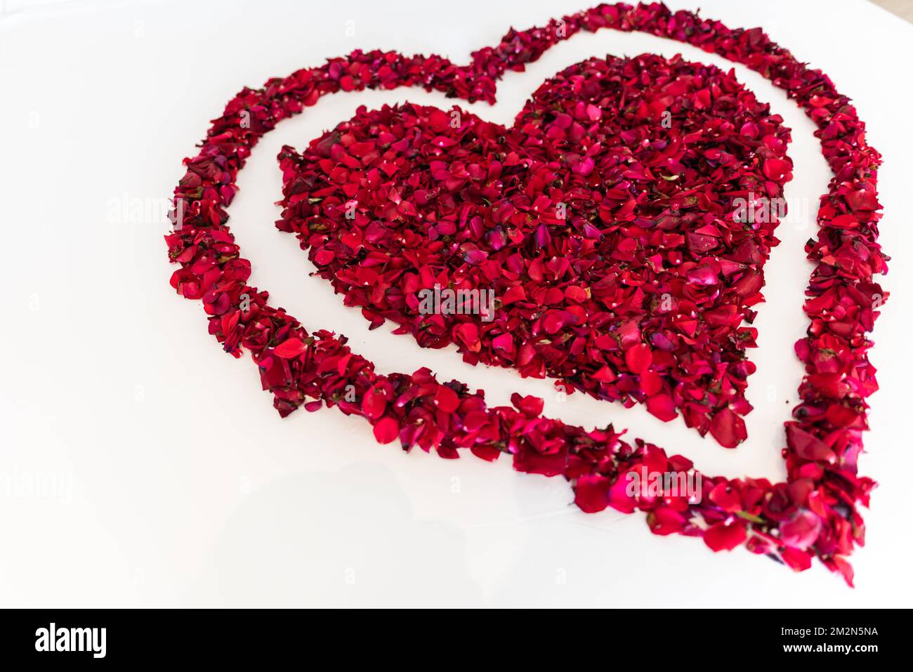 Rote Rosenblumen in einem herzförmigen Rahmen. Herzform am Valentinstag aus roten Rosen, isoliert auf weißem Hintergrund und natürlichem Licht. Stockfoto