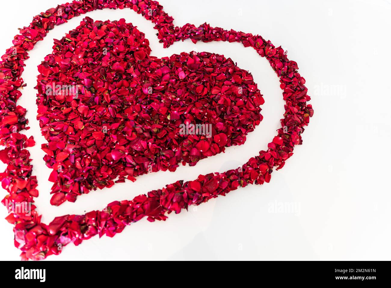 Rote Rosenblumen in einem herzförmigen Rahmen. Herzform am Valentinstag aus roten Rosen, isoliert auf weißem Hintergrund und natürlichem Licht. Stockfoto