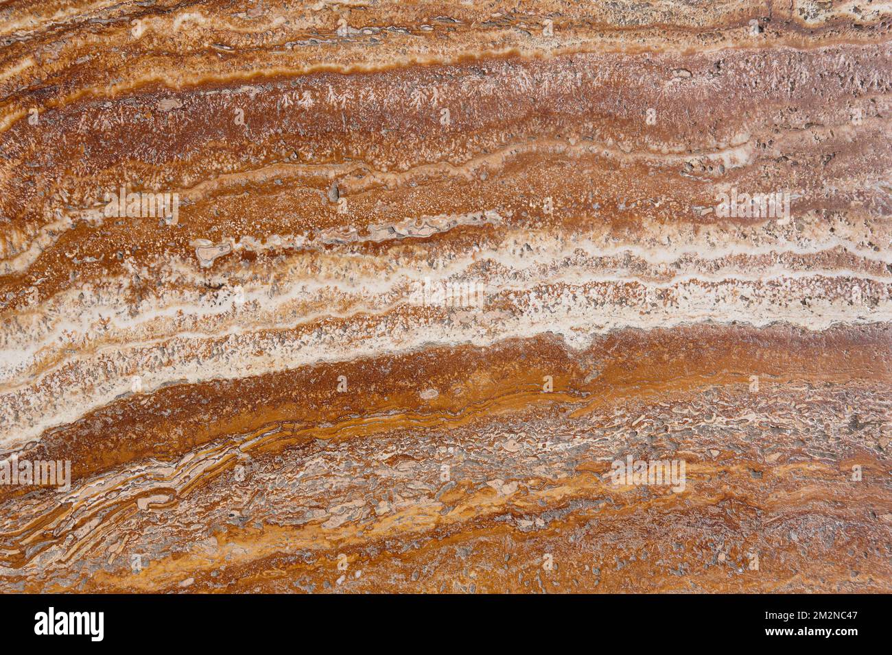 Strukturiertes braunes und weißes Veinendetail aus natürlichem Marmor. Mineral Stockfoto