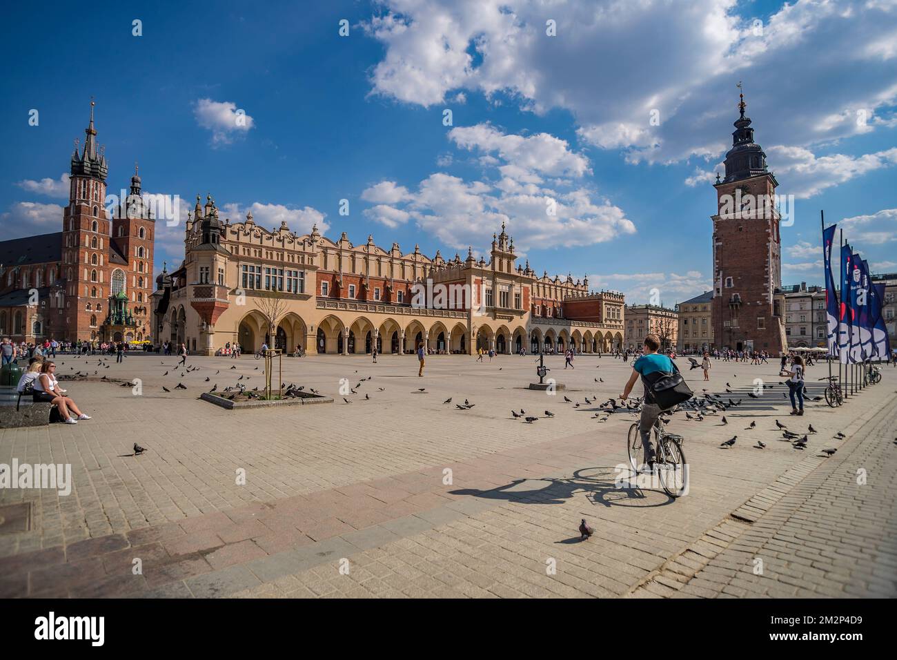 Radfahrer über den Marktplatz in Krakau. Stockfoto