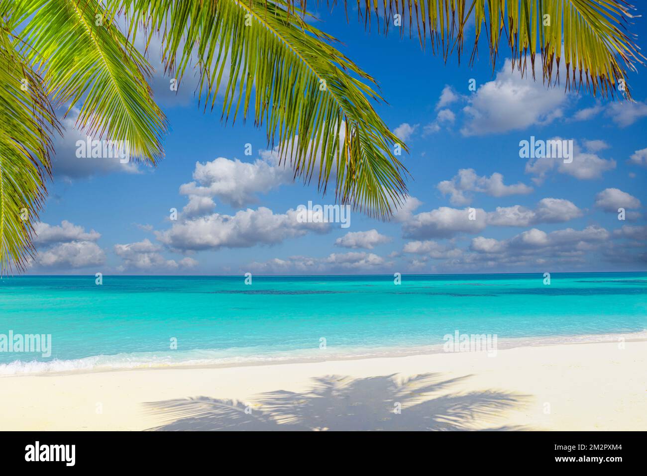 Sommerstrandlandschaft. Tropische Inselküste, Küste mit Palmenblättern. Herrlicher blauer Horizont, heller Himmel und weißer Sand als entspannender Urlaub Stockfoto