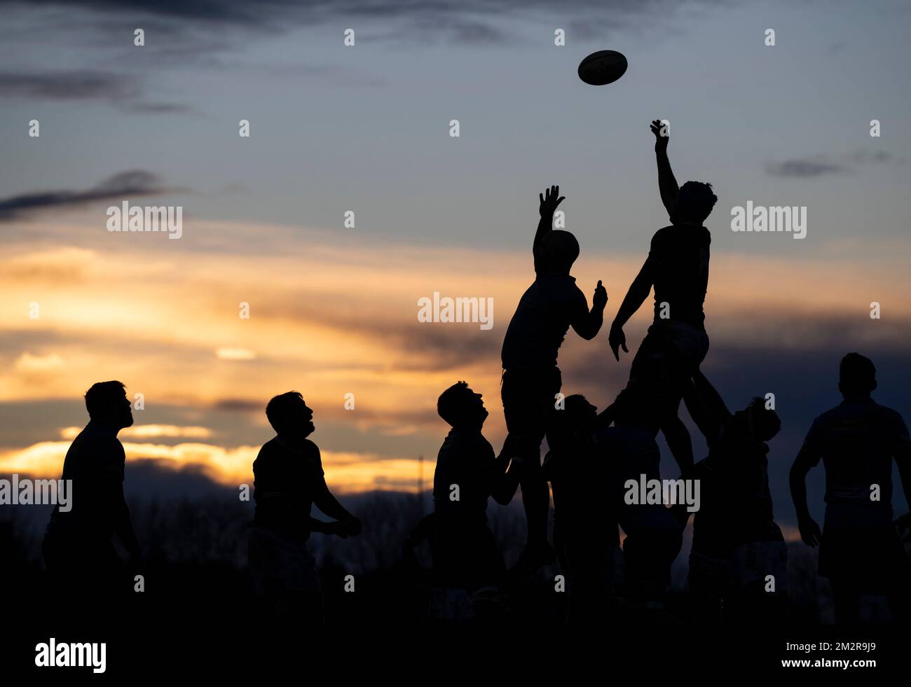 Rugby-Linie raus Stockfoto