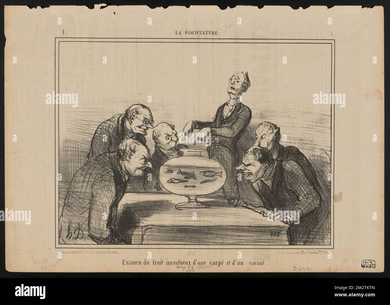 Examen du Fruit incestueux d'une carpe... , Wissenschaftler, Coste, M. Jean Jacques Marie Cyprien Victor, 1807-1873. Honoré Daumier (1808-1879). Lithografien Stockfoto