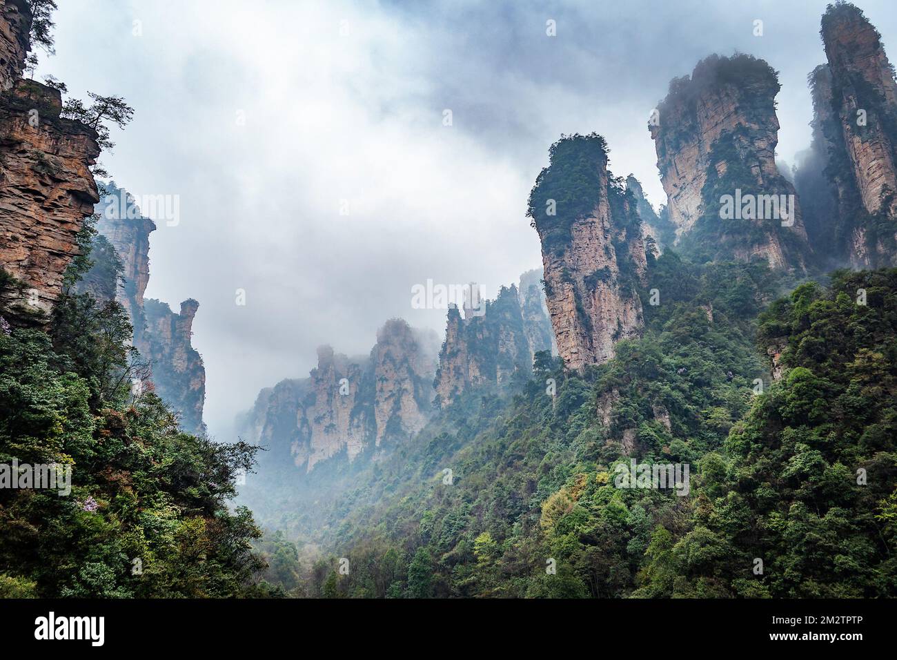 Neblig steile Berggipfel in Zhangjiajie, China. Schwebende Berglandschaft des Avatars Stockfoto