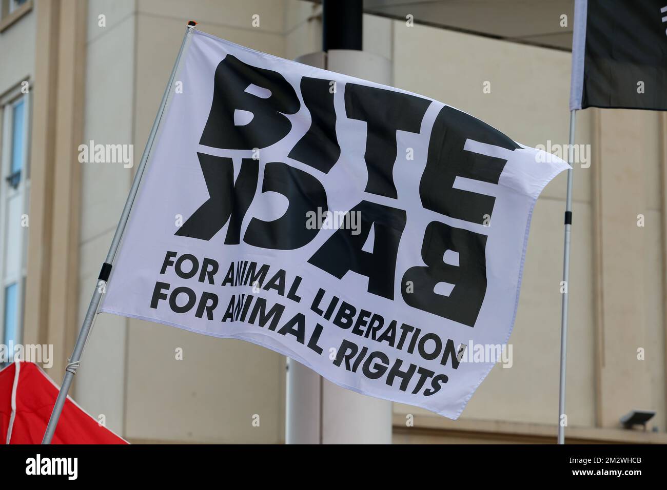 Das Bild zeigt ein Bite Back Logo auf einem märz für die Schließung der Schlachthöfe in Brüssel am Sonntag, den 16. Juni 2019. BELGA FOTO NICOLAS MAETERLINCK Stockfoto