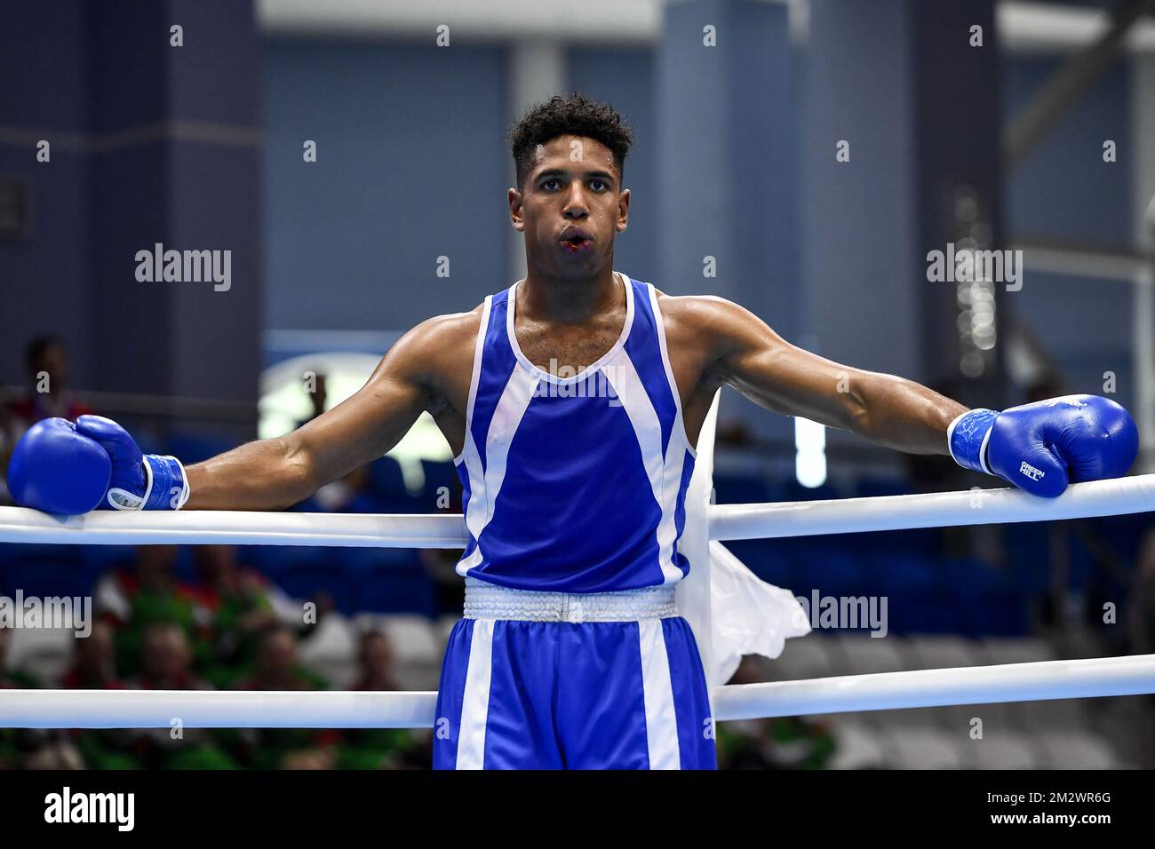 Der belgische Boxer Victor Schelstraete (blaue Ecke) wurde während der Finale 1/8 des Männer-Boxwettbewerbs bei den Europaspielen in Minsk, Belarus, in den unter 91kg Jahren aufgenommen. Die zweite Ausgabe der „Europäischen Spiele“ findet vom 21. Bis 30. Juni in Minsk, Belarus, statt. Belgien stellt 51 Sportler aus 11 Sportarten vor. BELGA FOTO DIRK WAEM Stockfoto