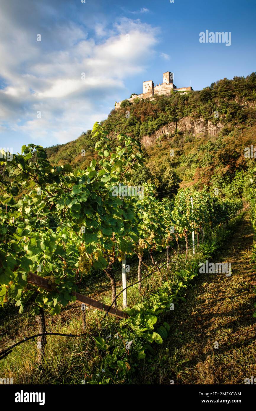 Das Castel d’Appiano liegt auf einem Berg mit Blick auf Bozen, Italien. Stockfoto