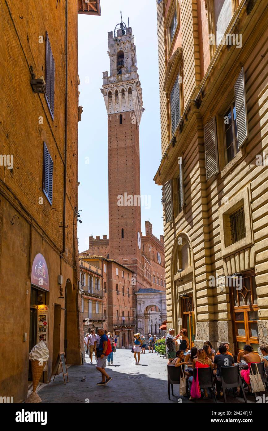 Blick auf den Turm des Palazzo Pubblico, Palazzo Comunale, Siena, Toskana, Italien Stockfoto