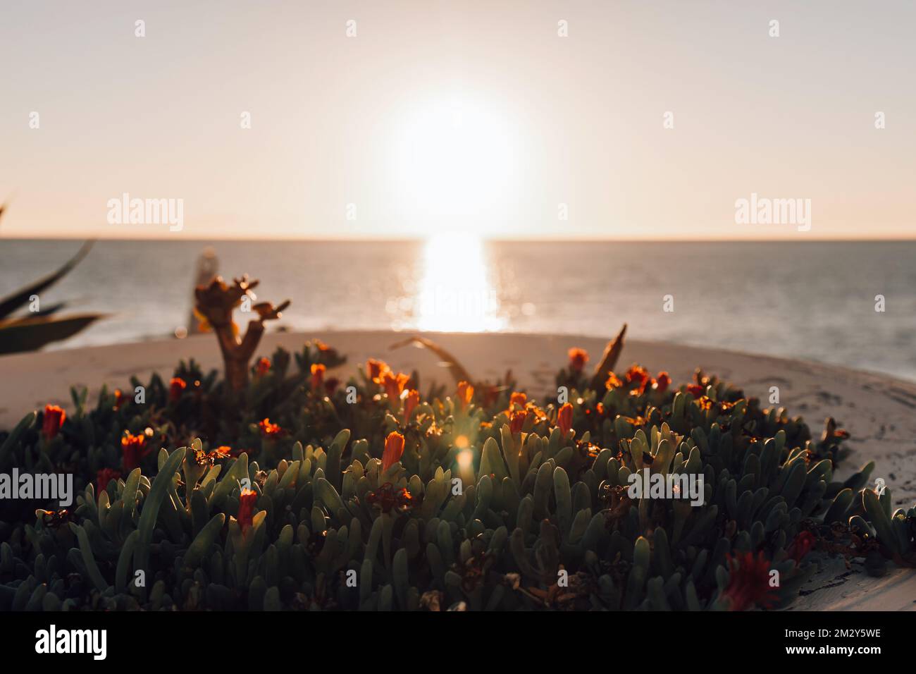 Bunte Meer Strand Sonnenaufgang. Stockfoto
