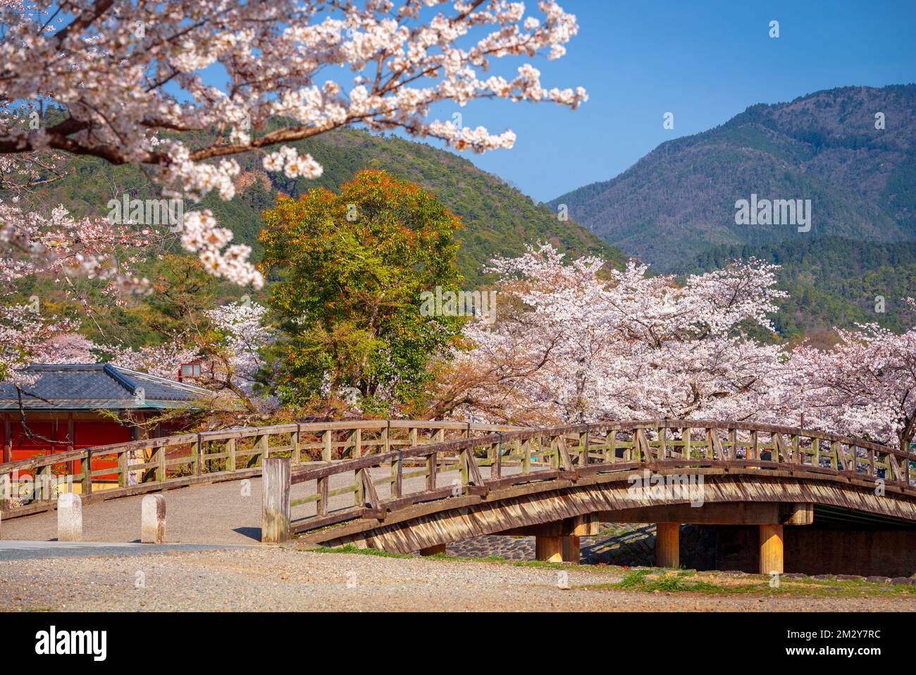 Kyoto, Japan in der Arashiyama-Gegend im Frühling. Stockfoto