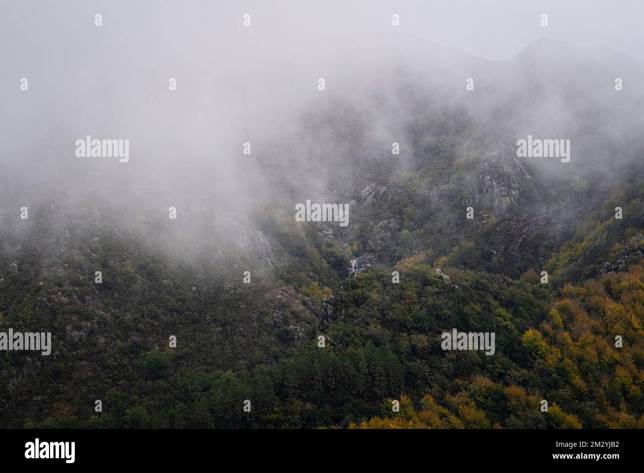 Nationalpark Peneda Gerês, Portugal - 29. Oktober 2021 : Nebel in Mata da Albergaria Stockfoto