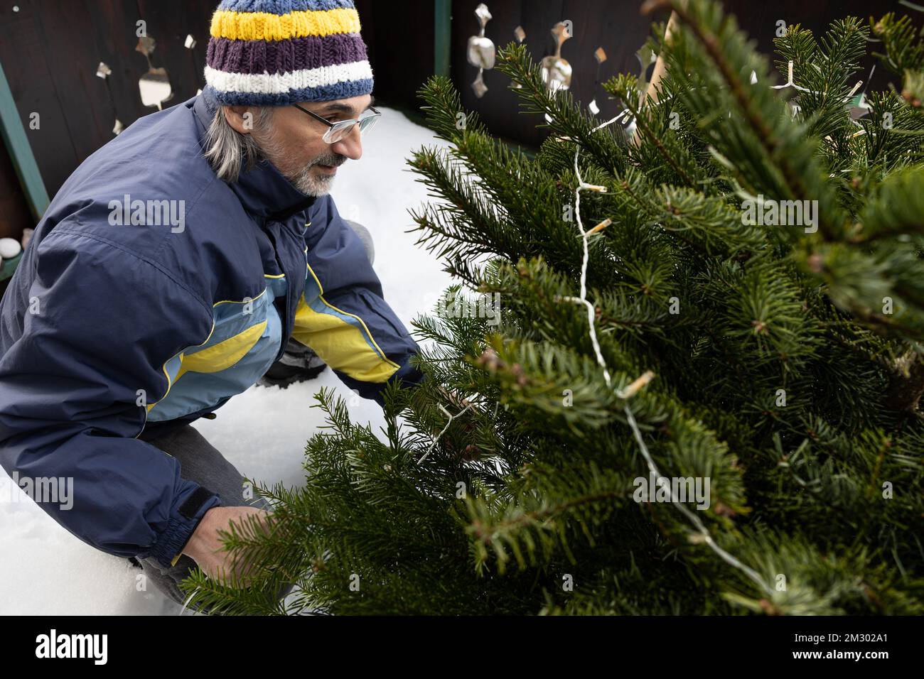 Ein erwachsener, grauhaariger Mann mit Bart und Brille in Sportbekleidung schmückt einen kleinen Weihnachtsbaum mit einer Girlande Stockfoto