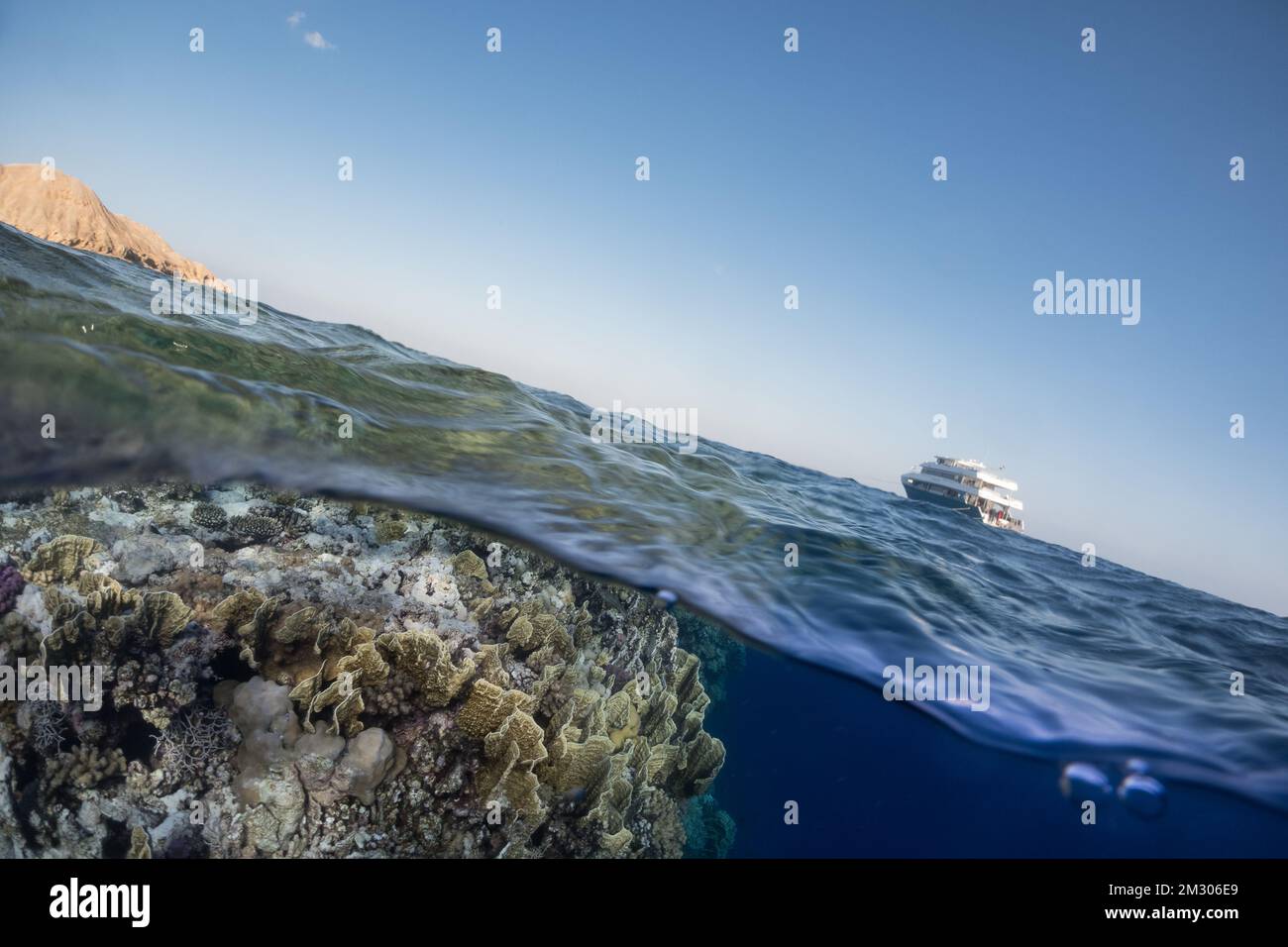 Geteiltes Bild des Korallenriffs und des Rock and Safari Bootes im Hintergrund während der Safari-Tauchtour in der Nähe von Marsa Alam, dem Roten Meer, Ägypten Stockfoto