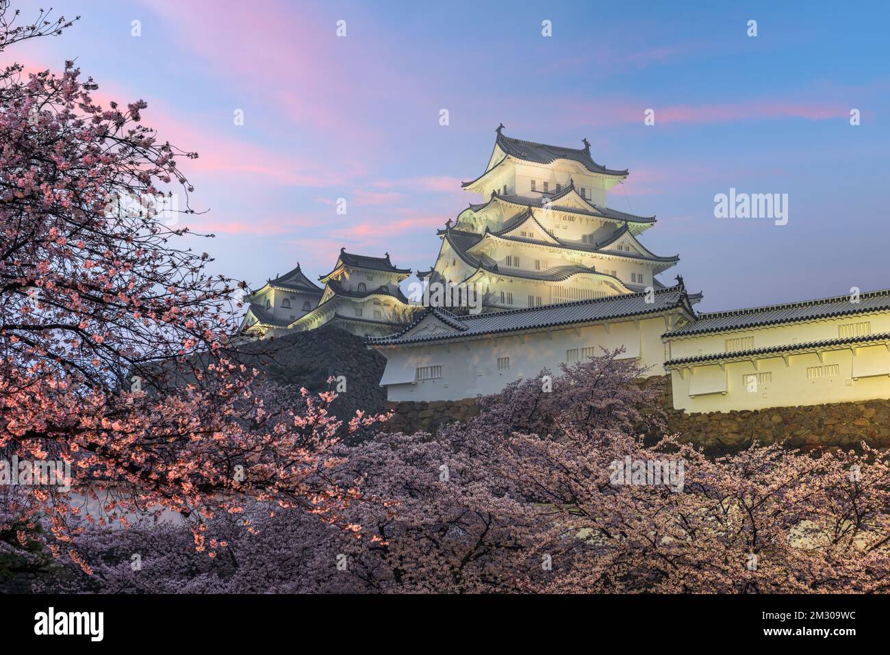 Himeji, Japan in Himeji Castle während Kirschblüte Frühjahrssaison. Stockfoto