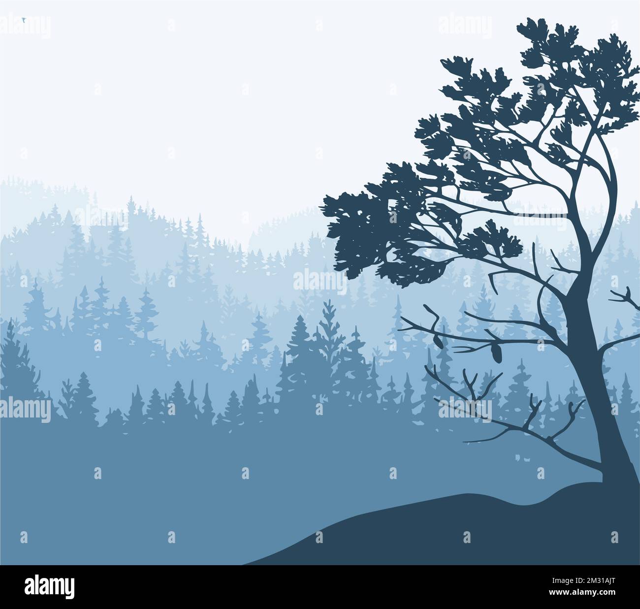 Querformat. Silhouette aus Bäumen und Bergen, Wald, Nebel. Naturhintergrund. Kiefer im Vordergrund. Stockfoto