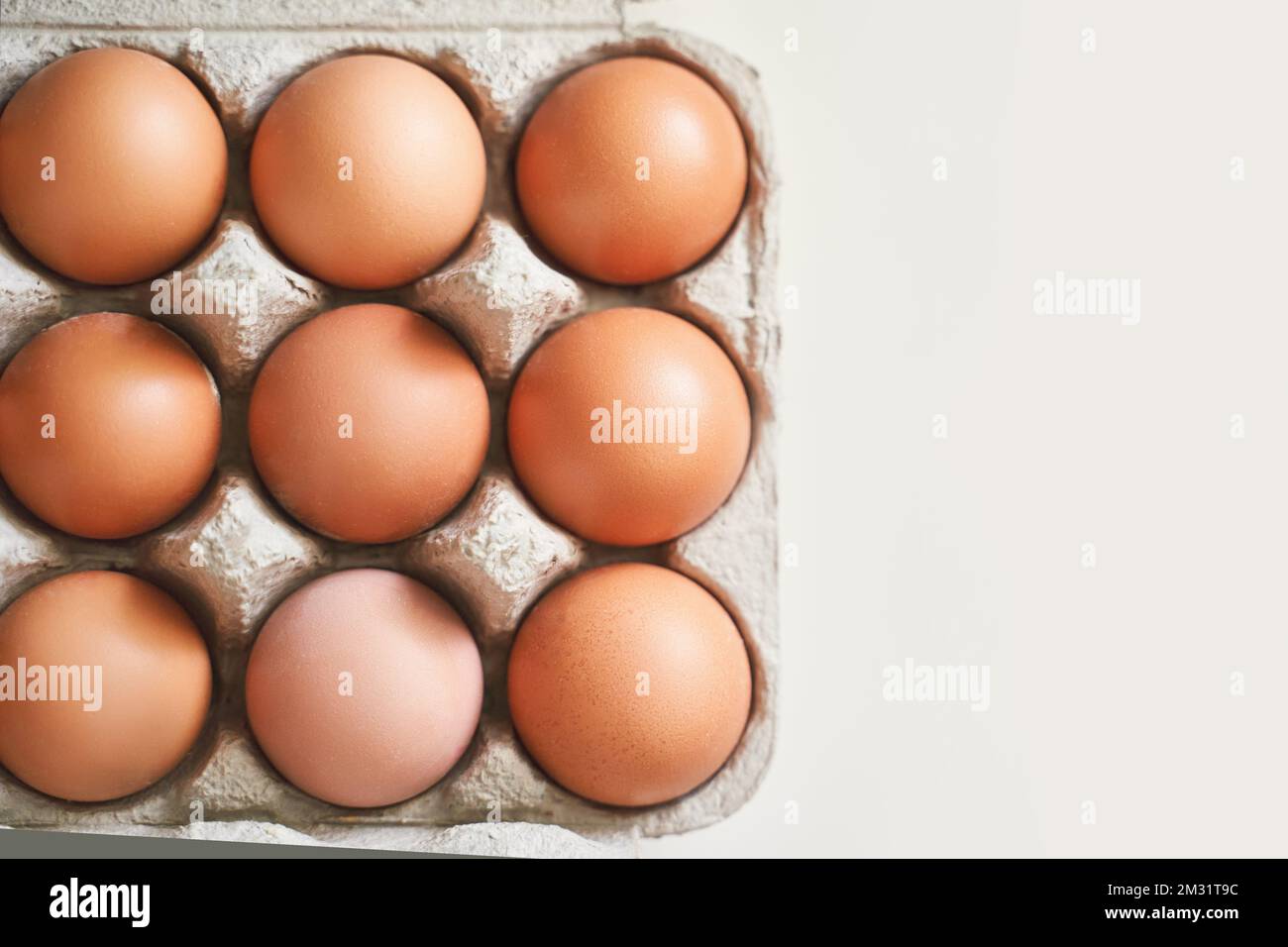 Eier fertig. Viele Nahrungsproteine. Farbenfroh und hell auf dem Hintergrund. Harter Schatten. Ostersonnenbox. Organisches Kartonkonzept. Traditionelle Küche mit Blick von oben. Flach Stockfoto