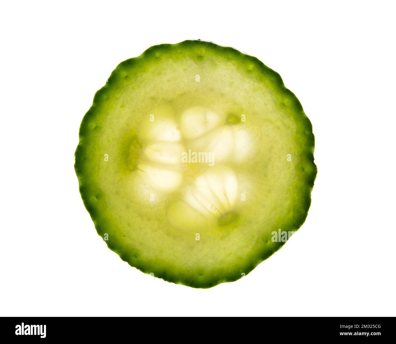 Nahaufnahme des Studios mit frischem und getrocknetem Obst und Gemüse Stockfoto