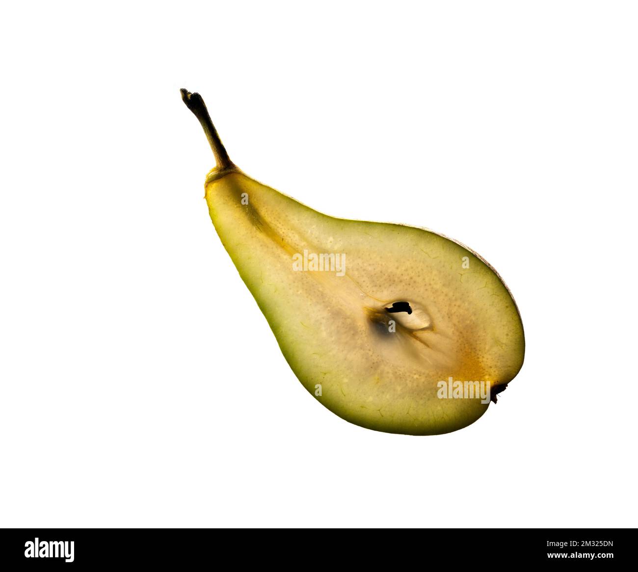 Nahaufnahme des Studios mit frischem und getrocknetem Obst und Gemüse Stockfoto