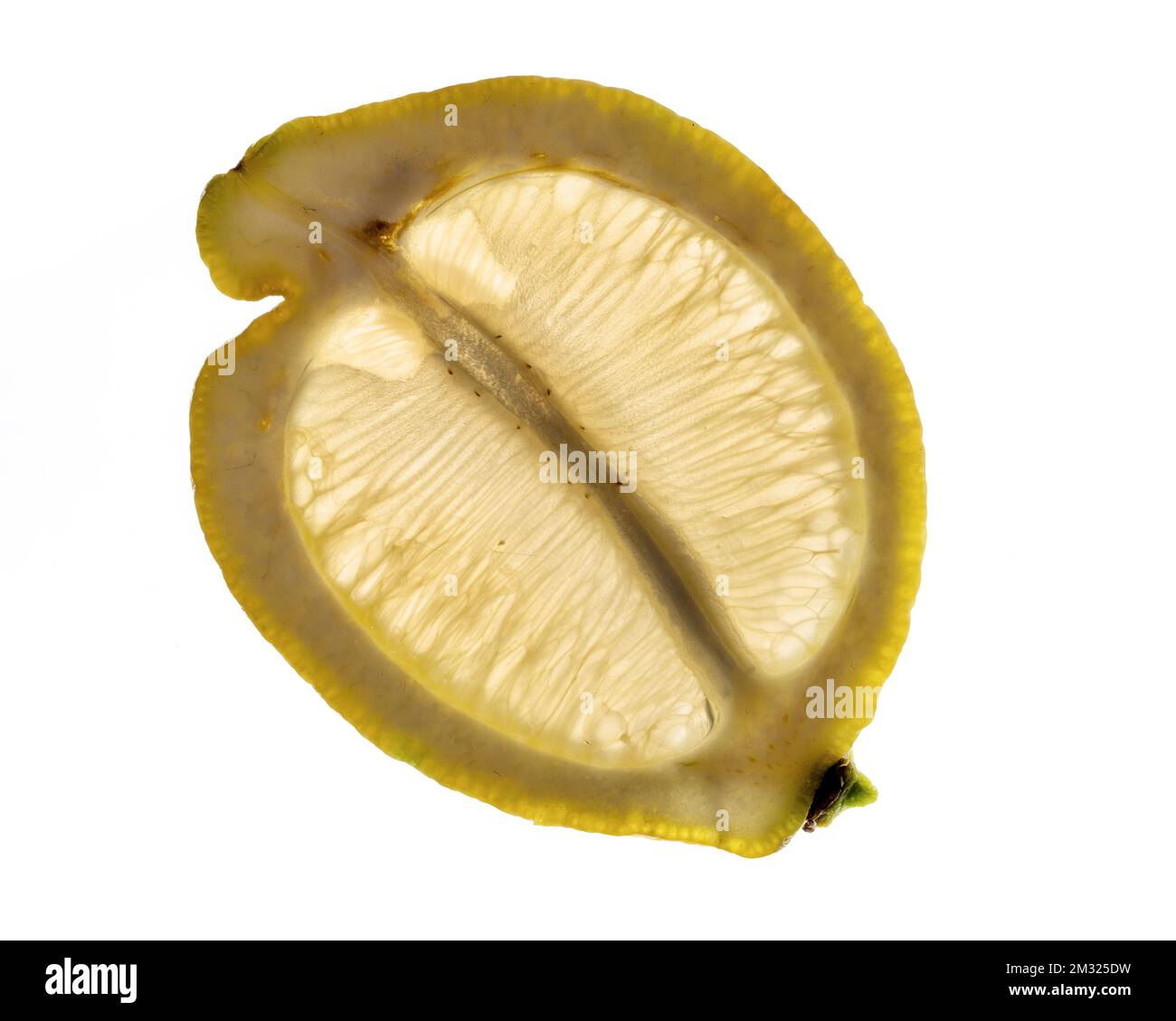 Nahaufnahme des Studios mit frischem und getrocknetem Obst und Gemüse Stockfoto