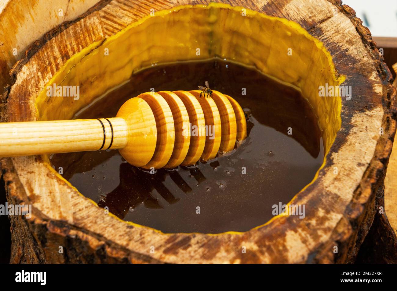 Honiglöffel in einem Fass mit wohlriechendem, frischem Honig begraben. Nahaufnahme, gesundes Esskonzept. Stockfoto