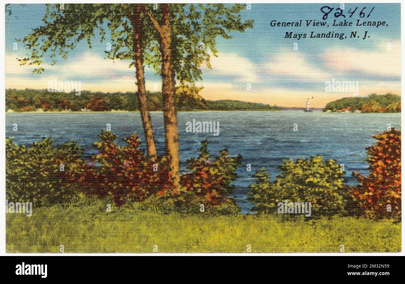 Allgemeine Aussicht, Lake Lenape, Mays Landing, N. J., Seen & Teiche, Tichnor Brothers Collection, Postkarten der Vereinigten Staaten Stockfoto