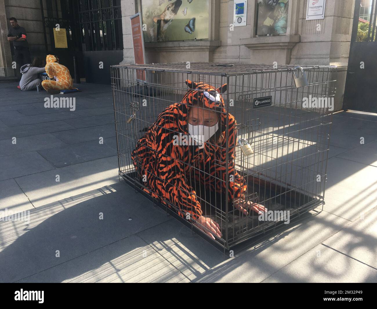 Bild zum Belga-Artikel "Dierenrechtenactivisten van Animal Resistance voeren actie aan Zoo van Antwerpen", heute in ANTWERPEN verteilt. BESTE VERFÜGBARE QUALITÄT - BELGA FOTO TAMARA VAN HASSELT Stockfoto