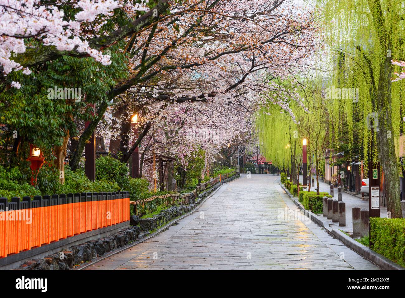 Kyoto, Japan im historischen Stadtteil Gion während der Frühjahrssaison. Stockfoto