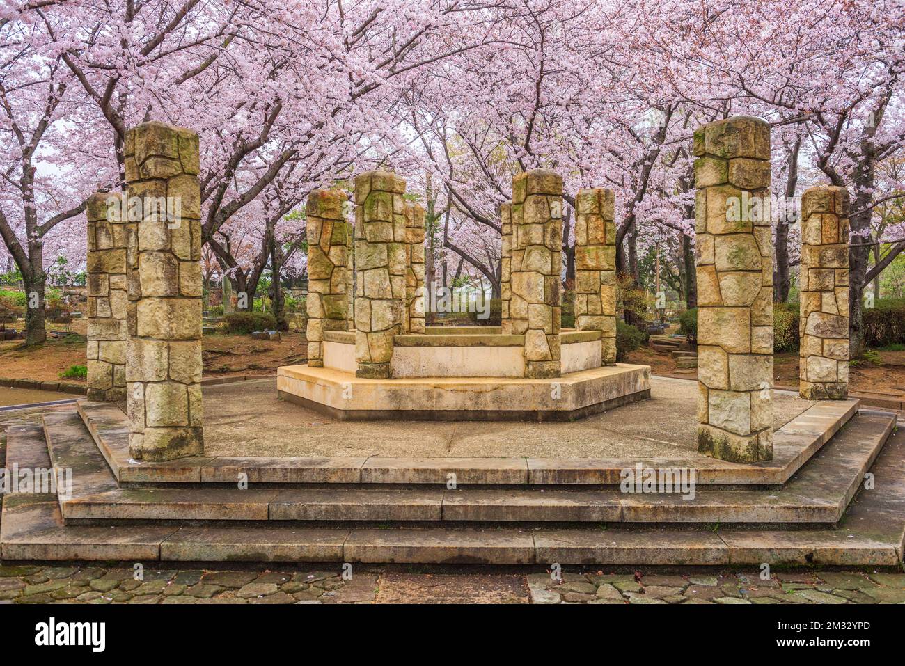 Denkmal in Himeji, Japan während der Frühlingssaison. Stockfoto