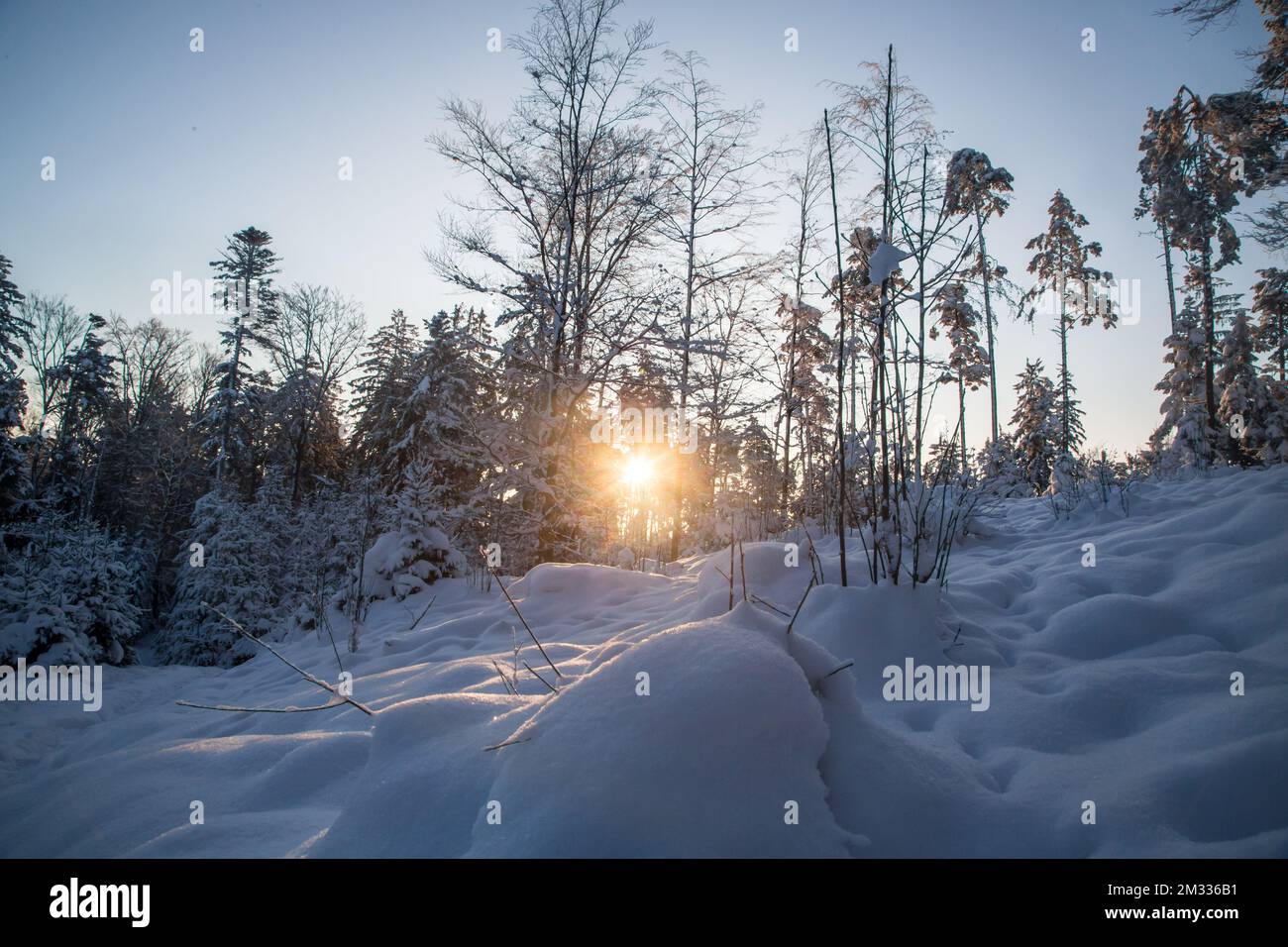 Sonnenaufgang, Winterlandschaft im Waldviertel, Österreich Stockfoto