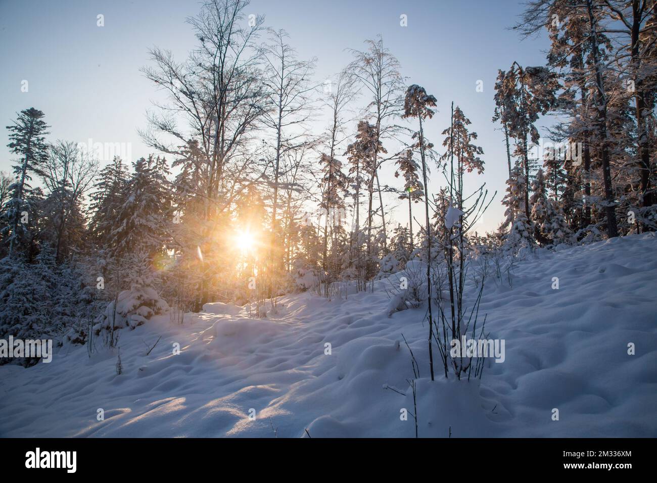 Sonnenaufgang, Winterlandschaft im Waldviertel, Österreich Stockfoto