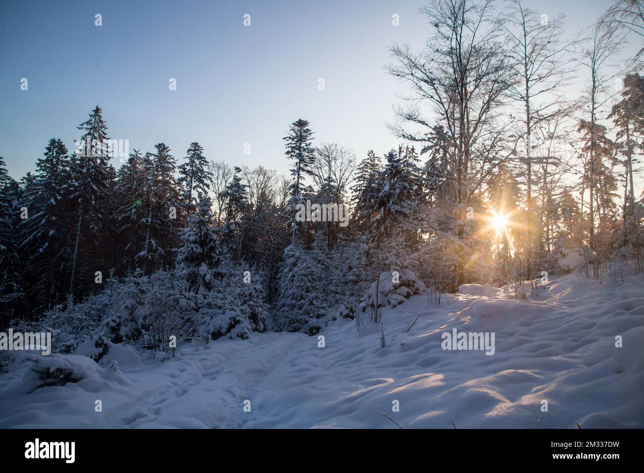 Sonnenaufgang, Winterlandschaft im Waldviertel, Österreich Stockfoto