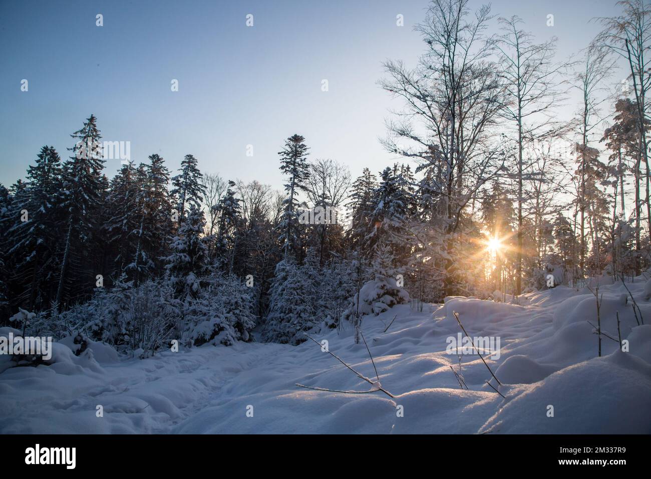 Sonnenaufgang, Winterlandschaft im Waldviertel, Österreich Stockfoto