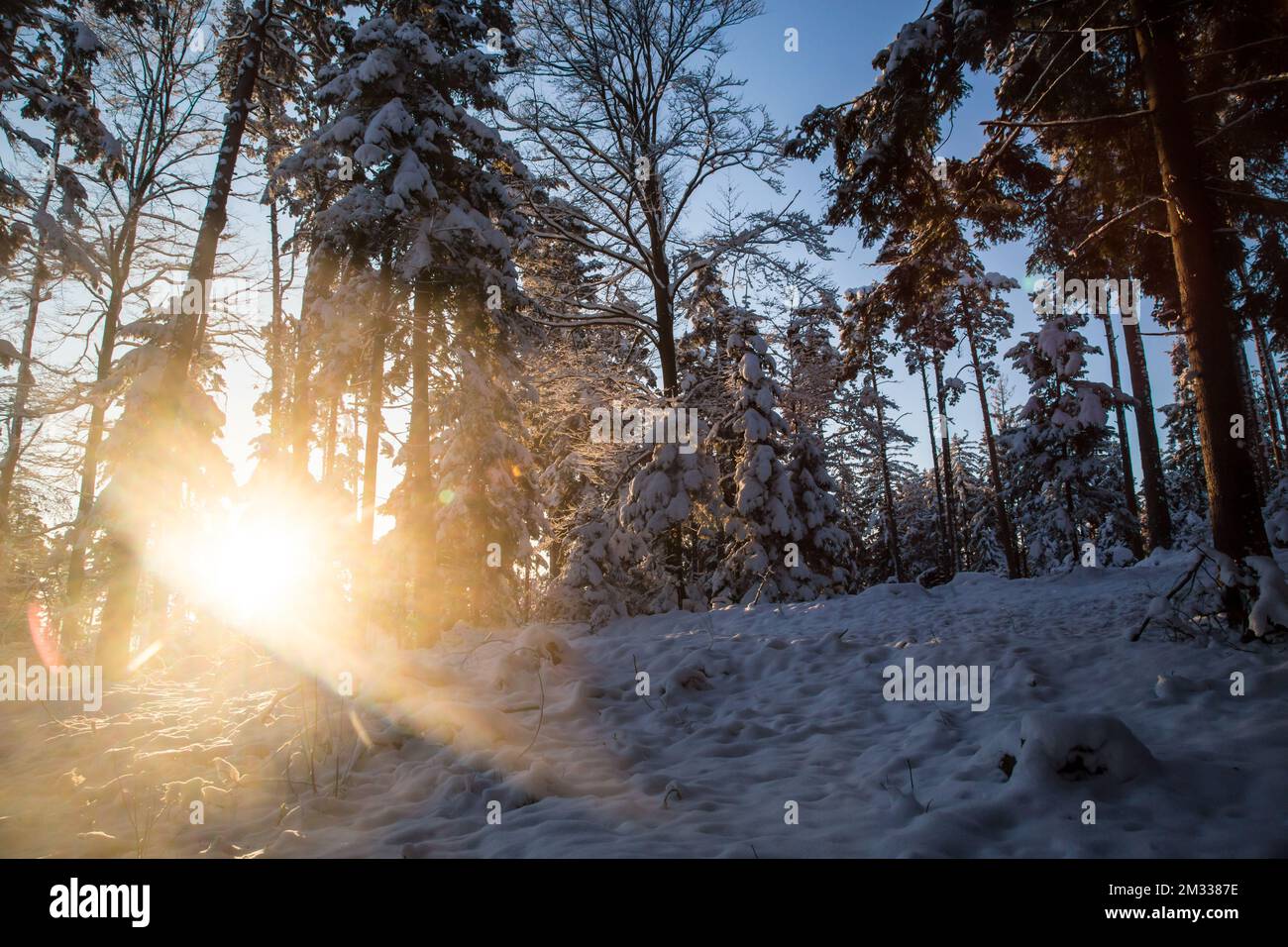 Sonnenaufgang, Winterlandschaft im Waldviertel, Österreich Stockfoto