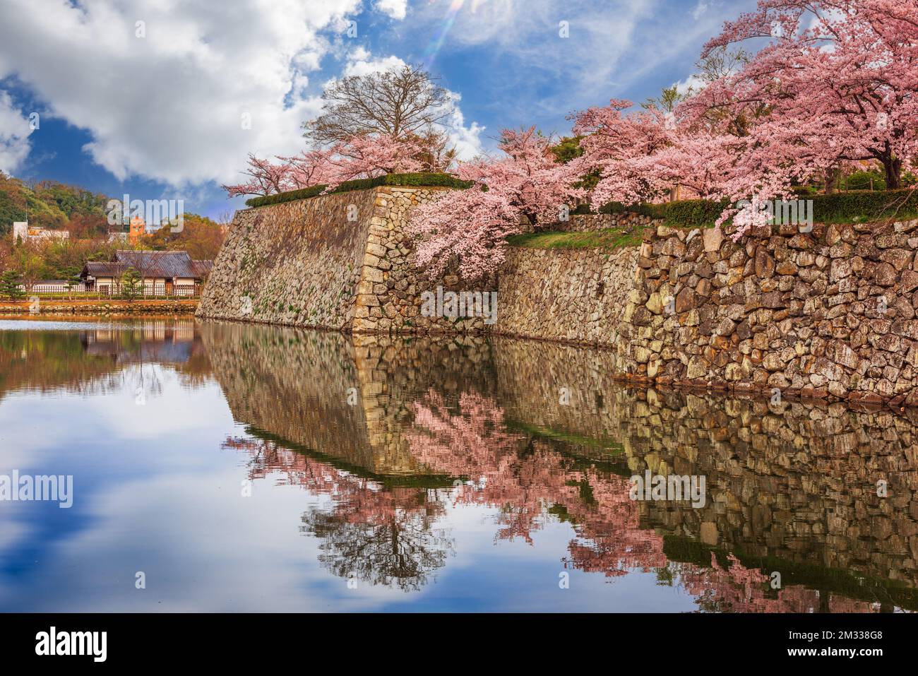 Himeji, Japan, im Frühling im Burggraben von Himeji. Stockfoto
