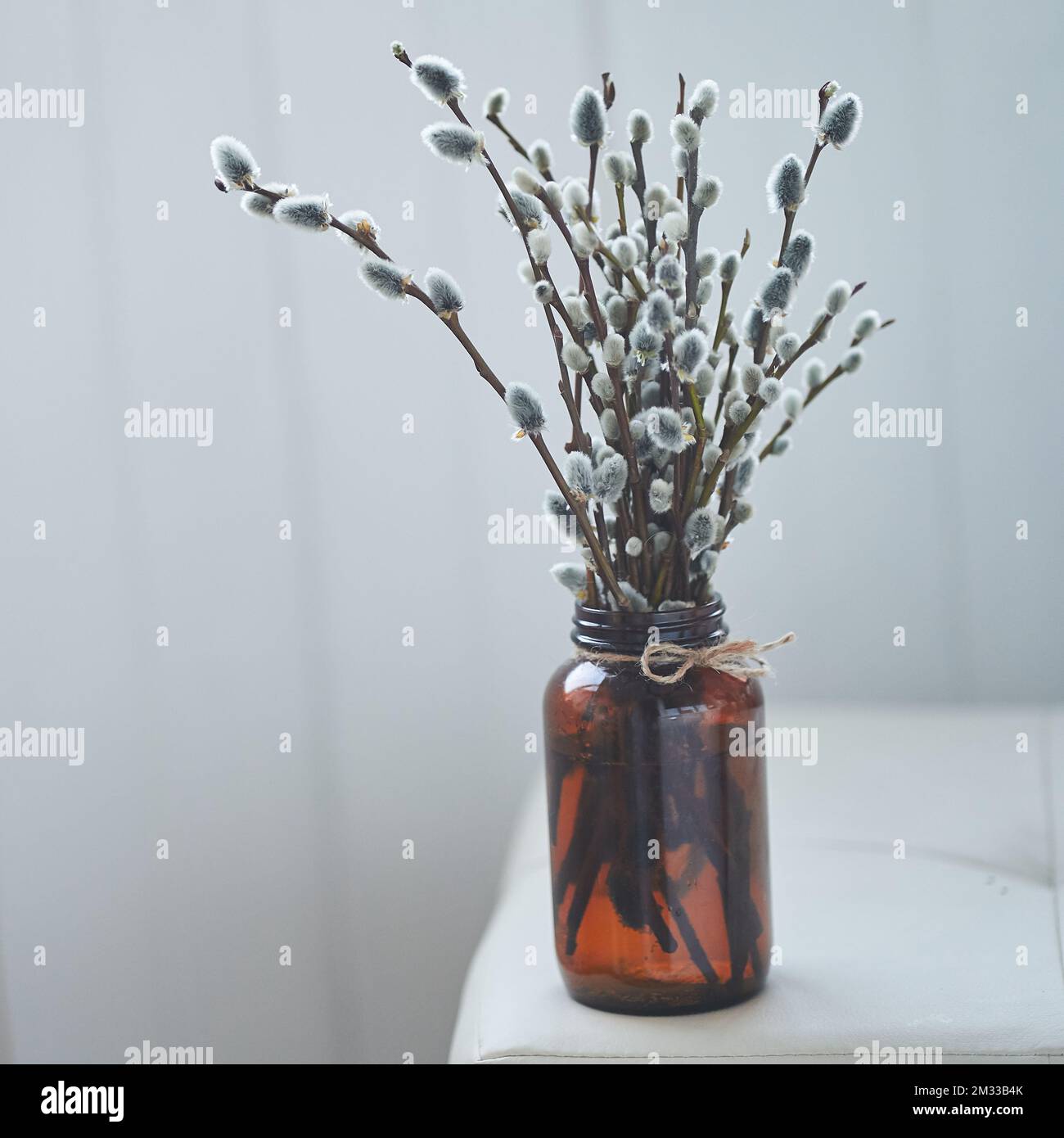 Ein Weidenzweig auf weißem Tischhintergrund. Weide, flauschige Knospen, braune Glasvase. Frohes Osterkonzept. Hochwertiges Foto Stockfoto