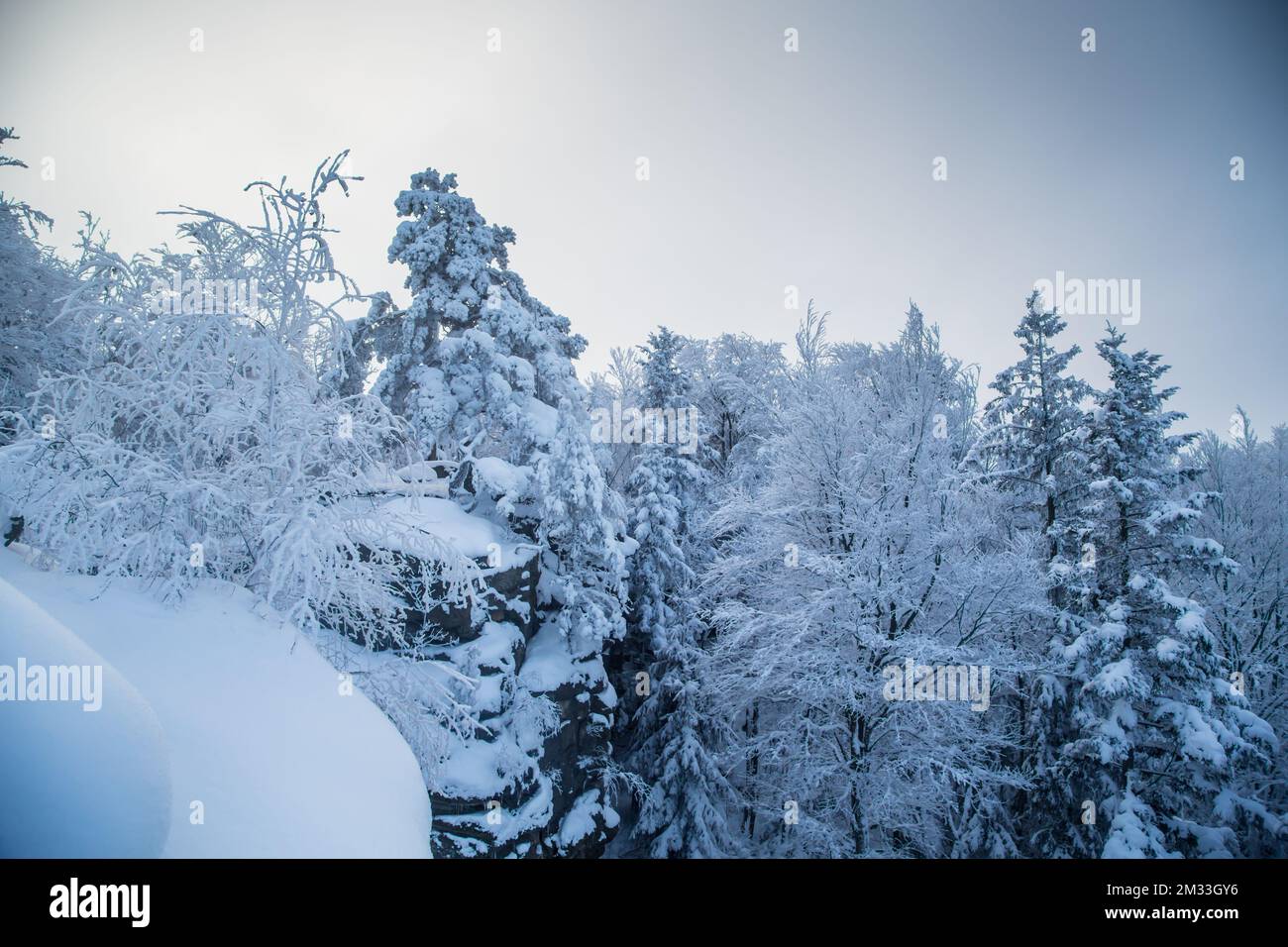 Mandelstein im Winter, Waldviertel, Österreich Stockfoto