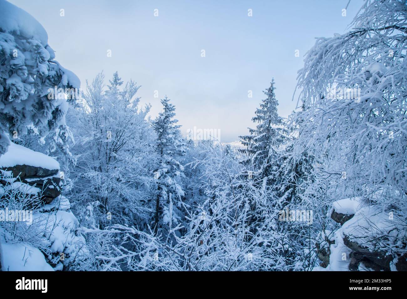 Mandelstein im Winter, Waldviertel, Österreich Stockfoto