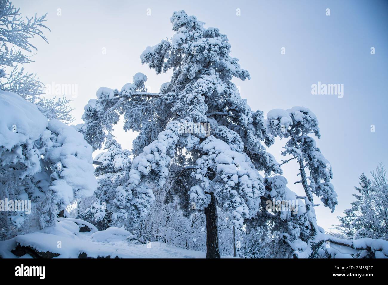 Mandelstein im Winter, Waldviertel, Österreich Stockfoto