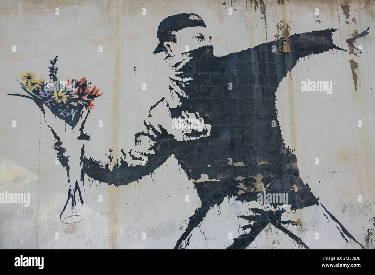 Ein Mann, der Blumen von der Anonymus-Künstlerin Banksy auf die Seite einer Garage in Bethlehem, Palästina, Israel wirft. Stockfoto