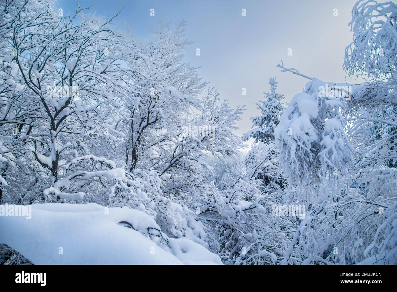 Mandelstein im Winter, Waldviertel, Österreich Stockfoto