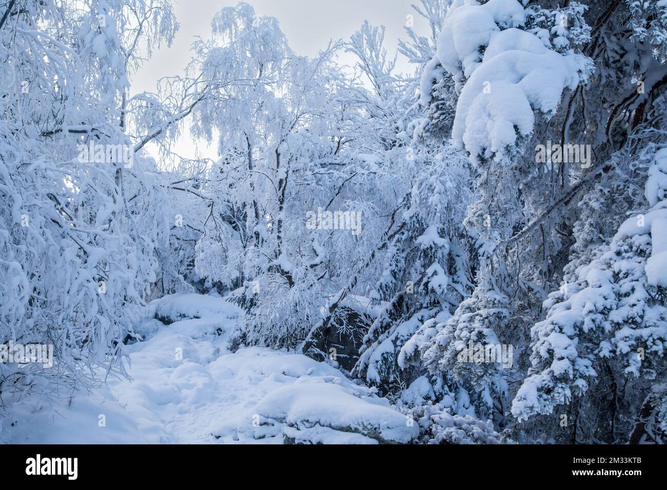 Mandelstein im Winter, Waldviertel, Österreich Stockfoto